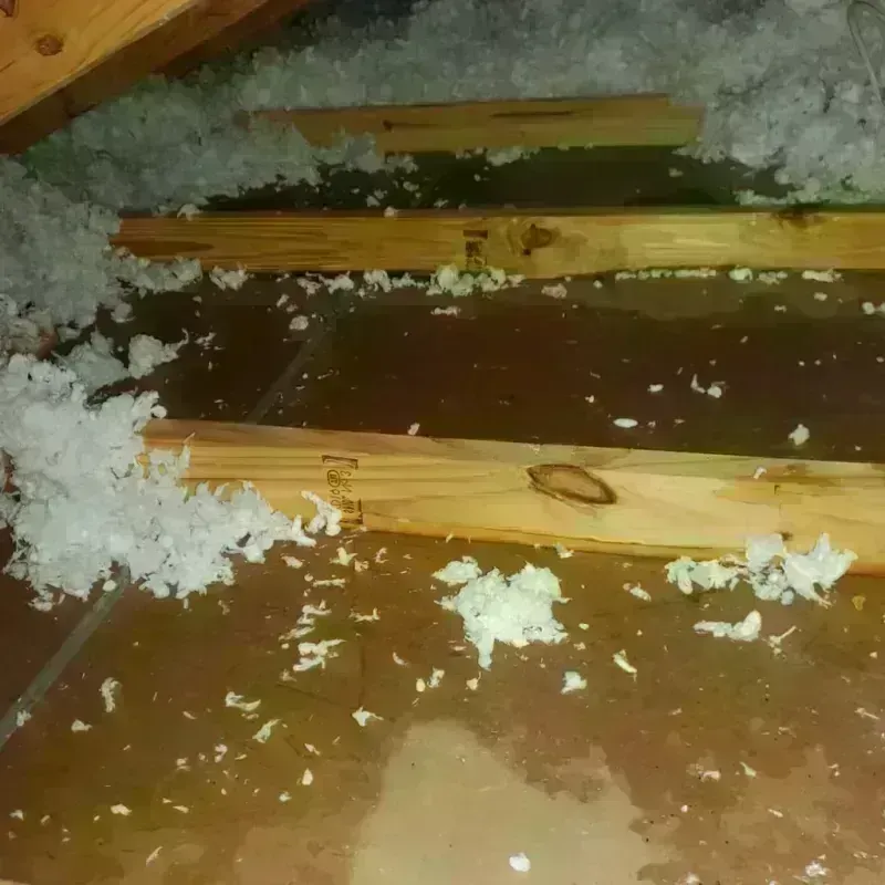 Attic Water Damage in Raceland, KY